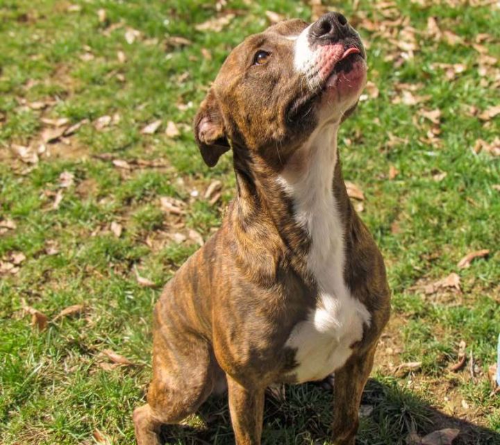 Bruce 1