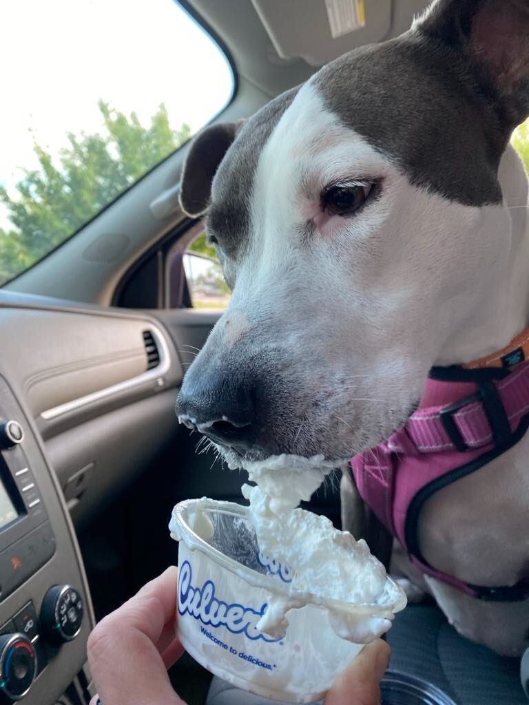 Gemma