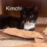 Kimchi 2