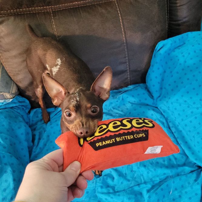 Reeses
