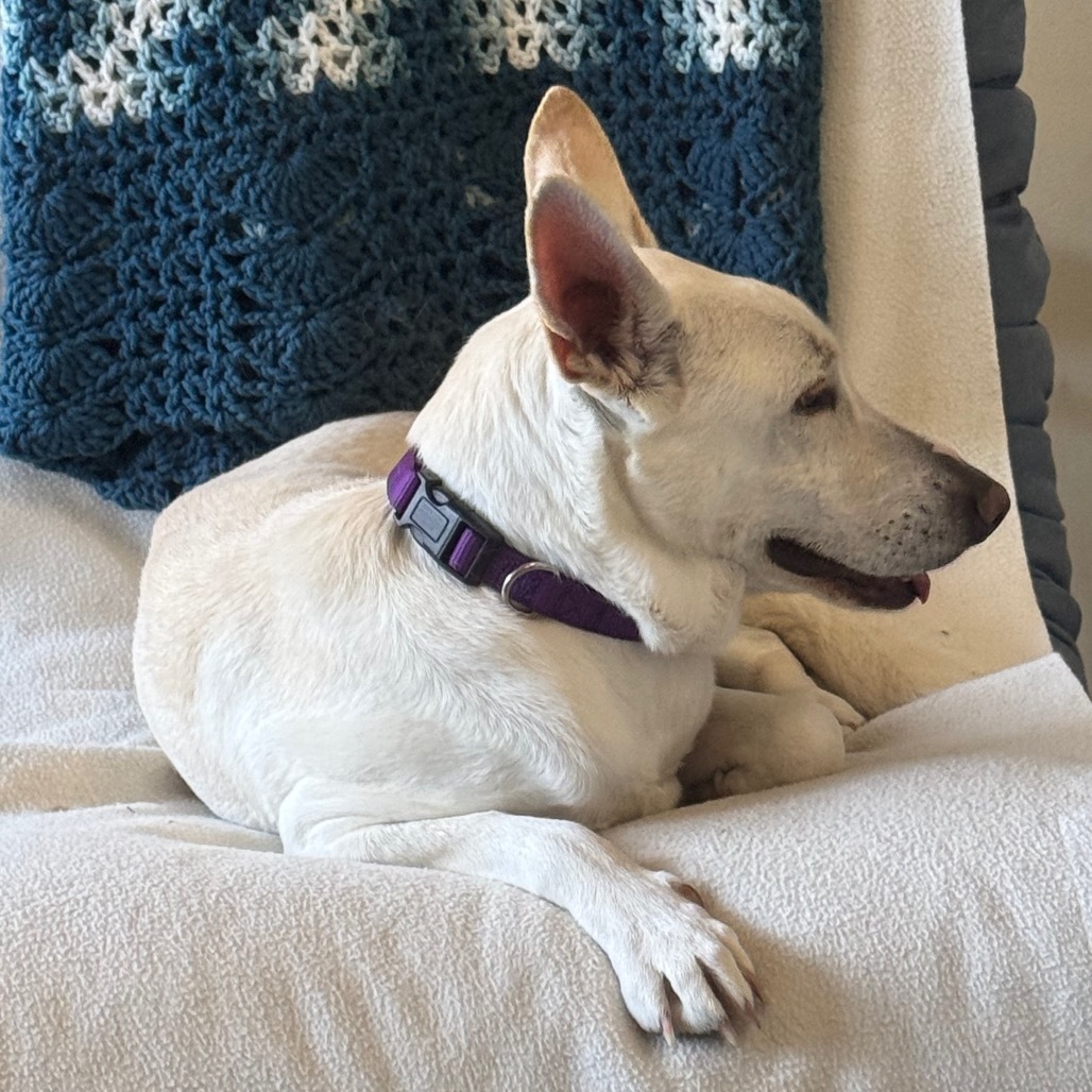 Frida