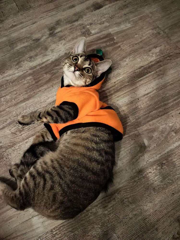 Jalapeno
