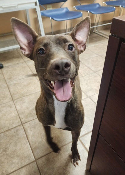 Daisy Mae