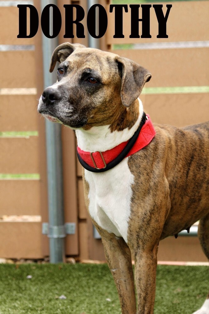 Dorothy (Dottie)