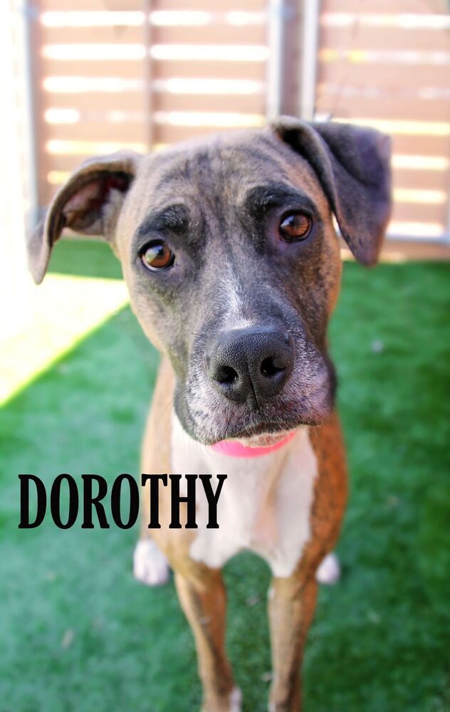Dorothy (Dottie)
