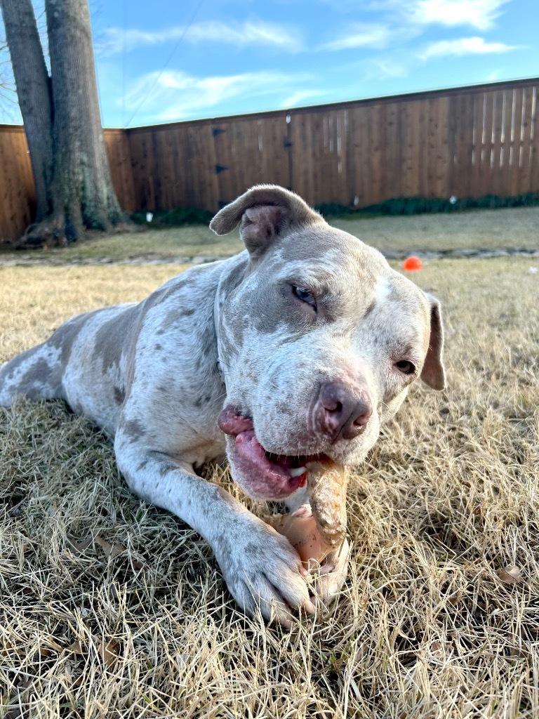 Wanda