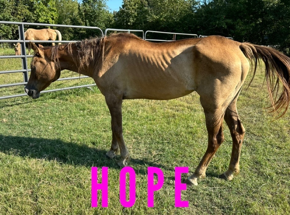 Hope