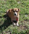 Bella photo 2