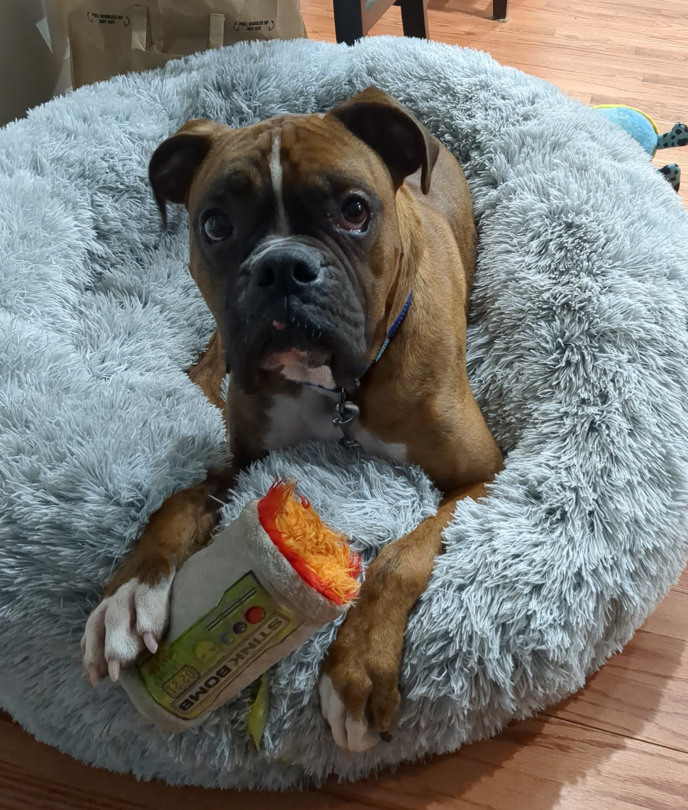 Cooper