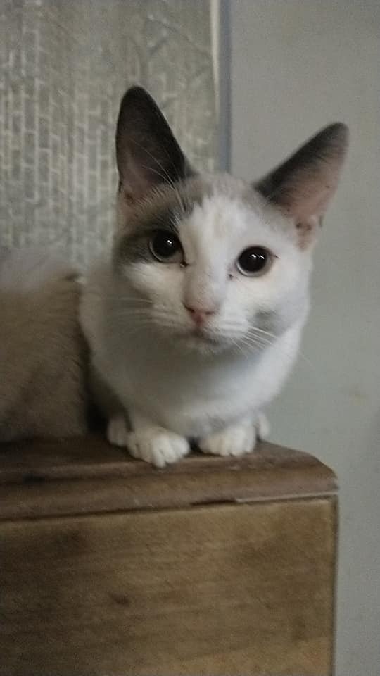 Hilke (aka Jackie)
