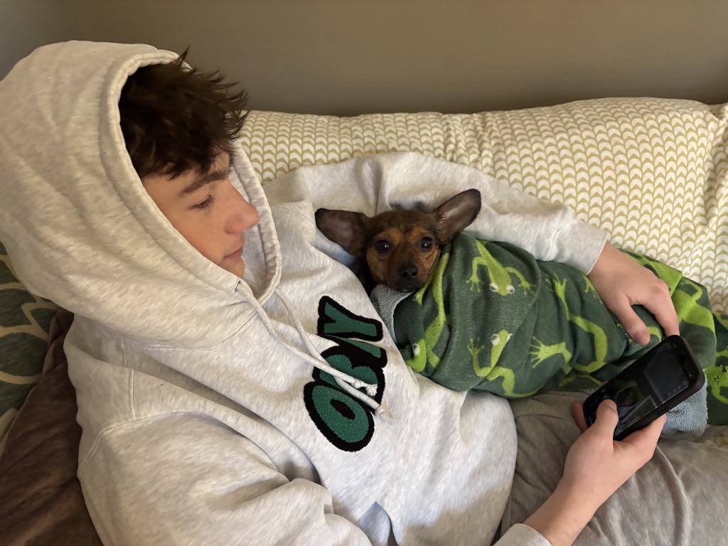 Toby - ADOPTED