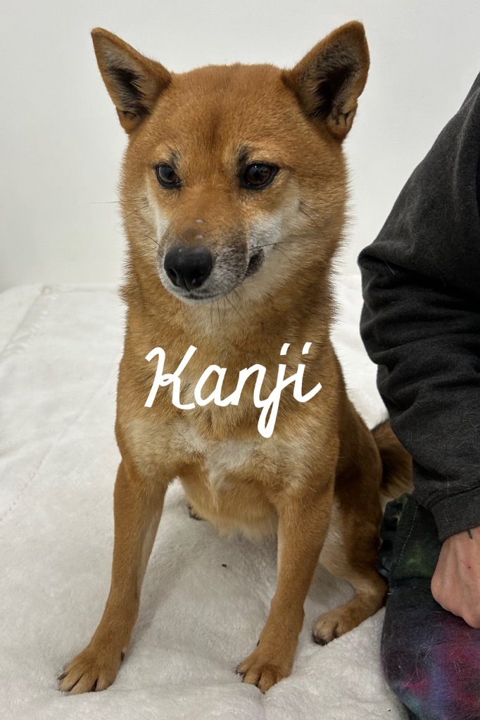 Kanji