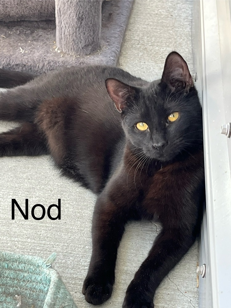 Nod