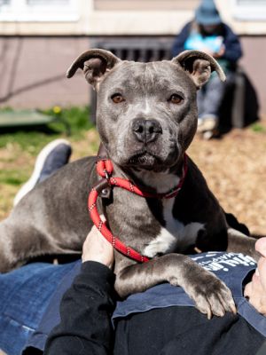 Zella is adorable During her photo shoot she wanted to meet everyone to get some loves She is gen