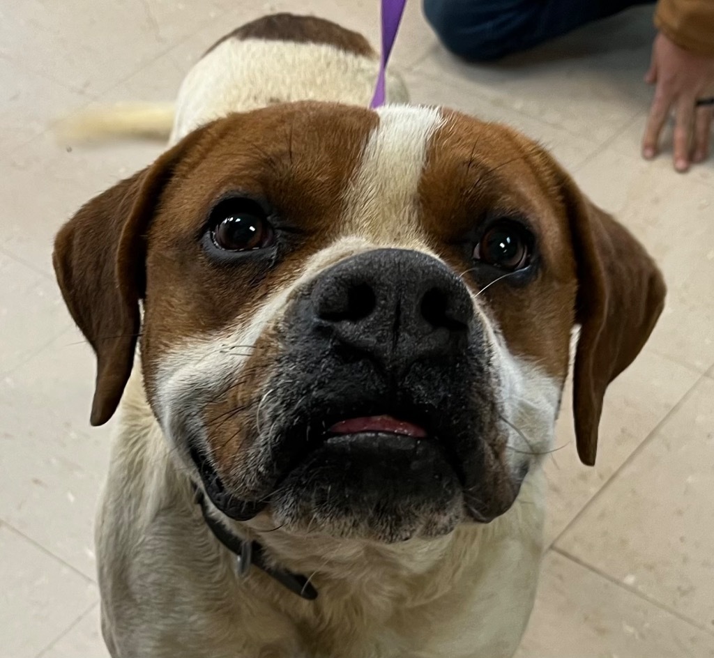 Roscoe