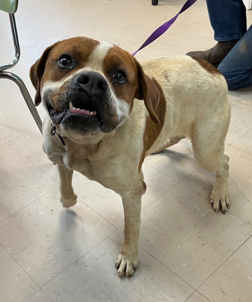 Roscoe