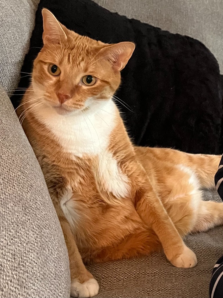 Simon