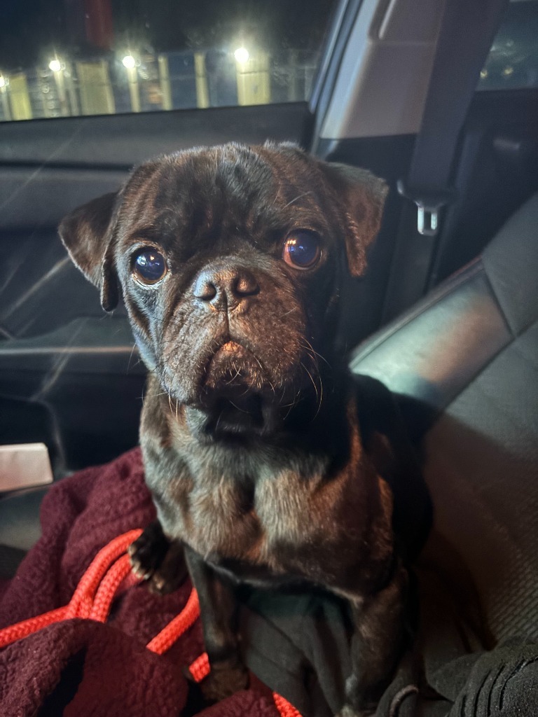 Otto