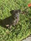 Otto photo 2