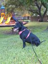 Varda photo 1