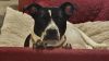 Lola 11 photo 6