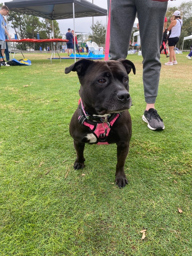 Bella