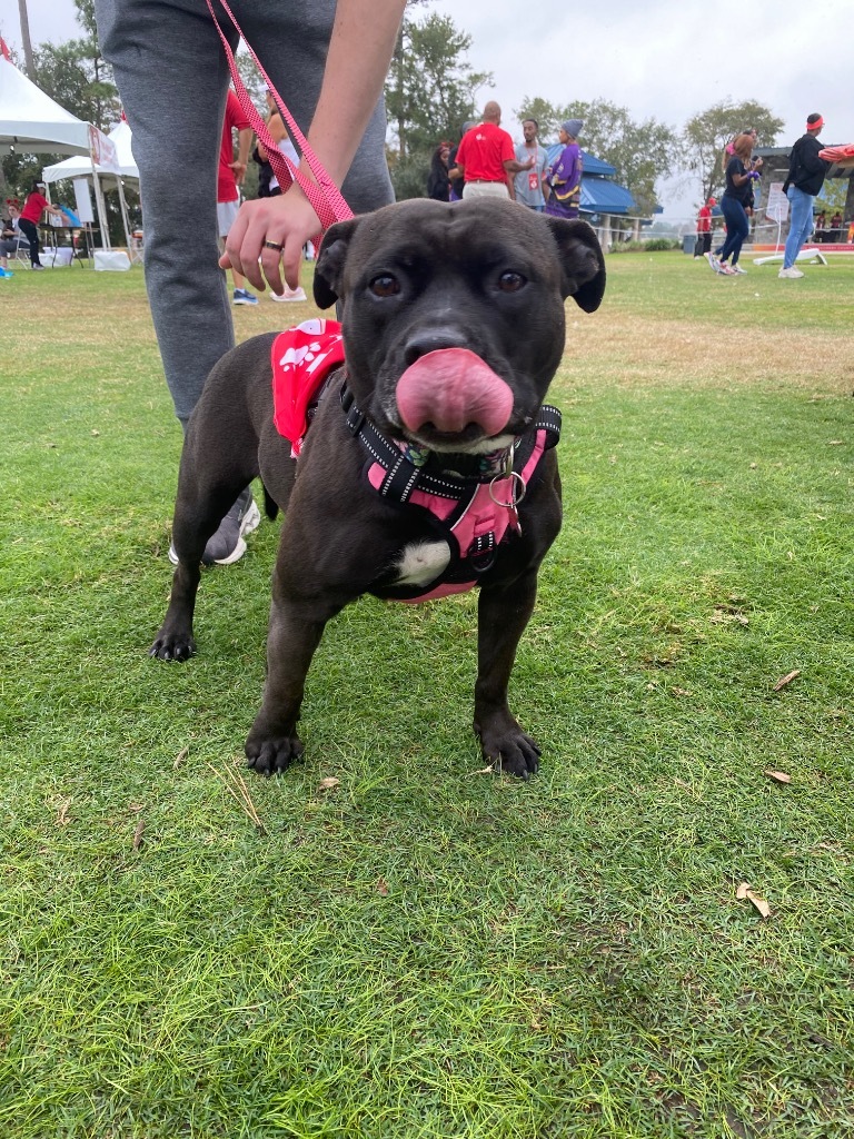 Bella