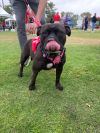 Bella photo 3
