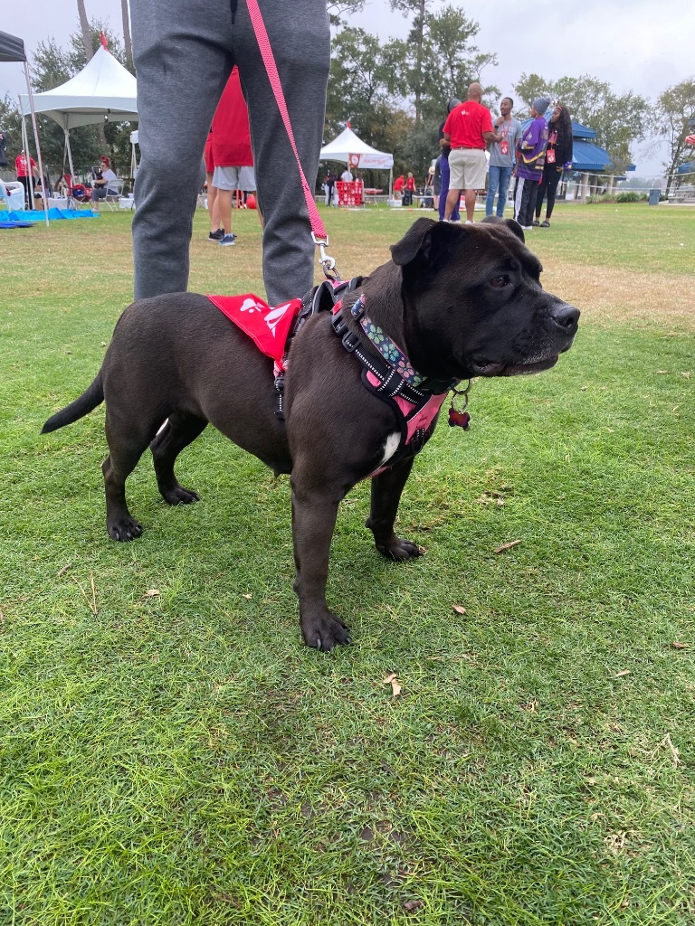 Bella