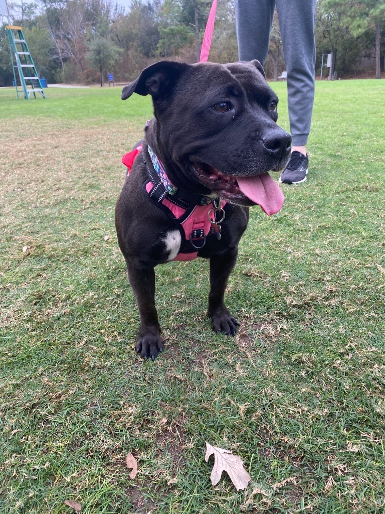Bella