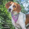 Tinker photo 4