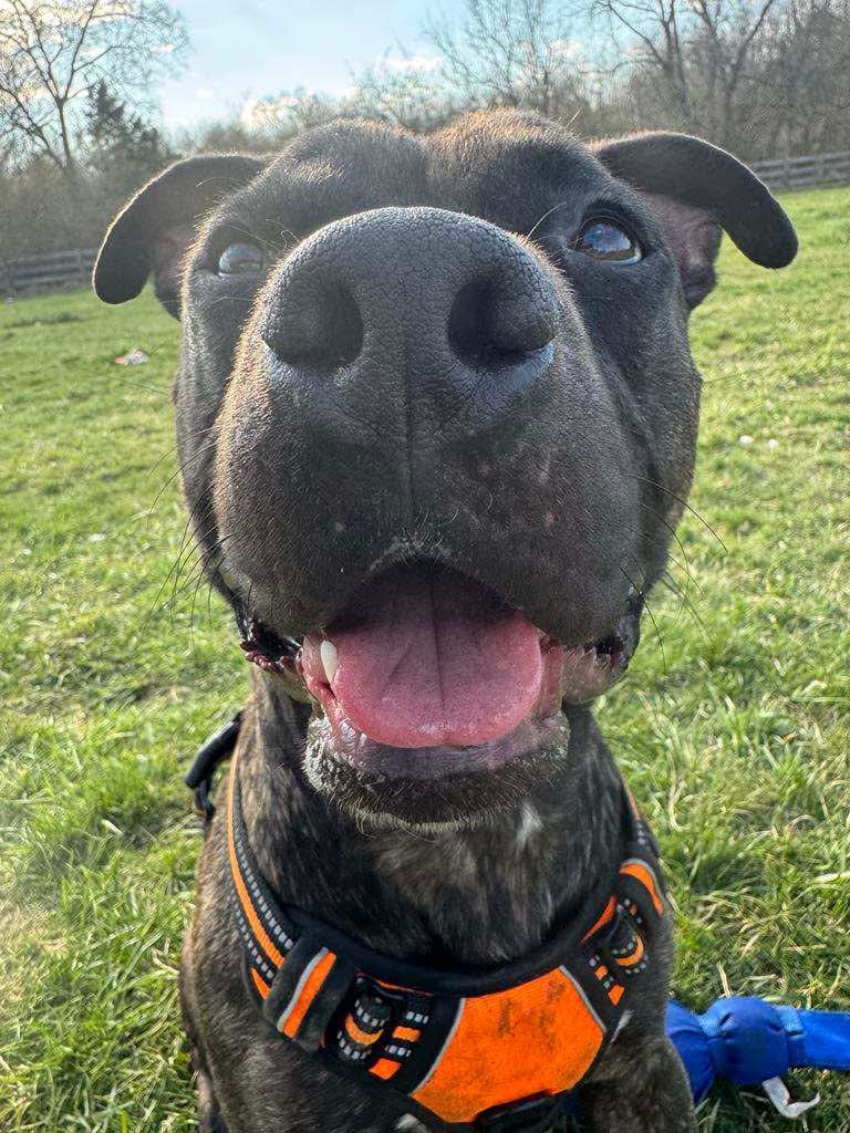 Walter