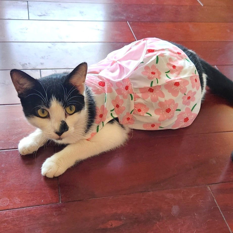 Mirabel