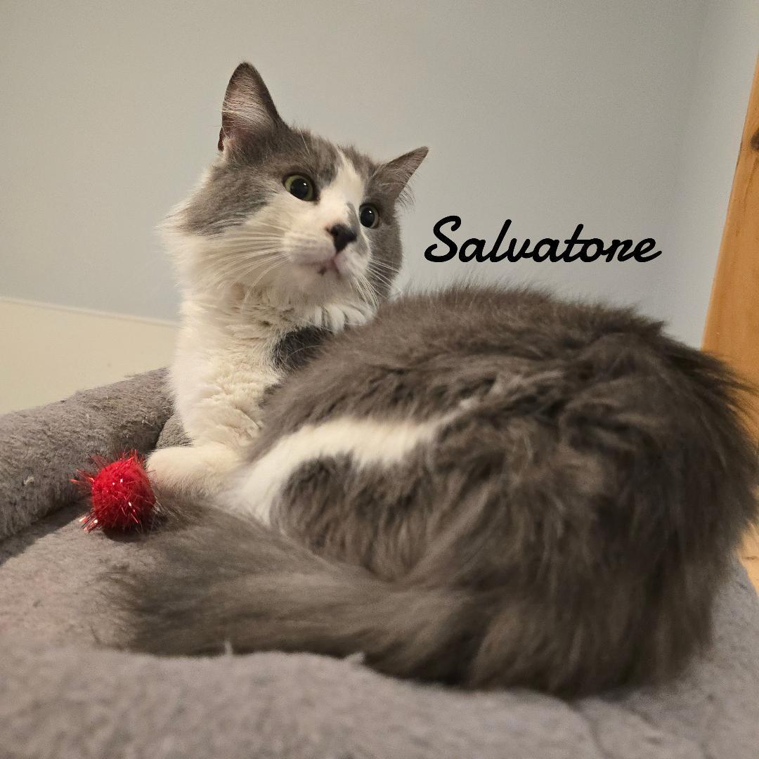 Salvatore & Tigger