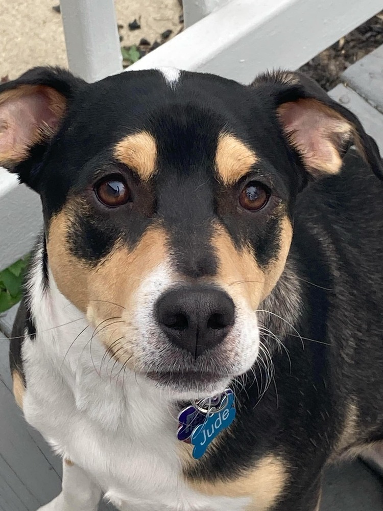 Jude (Song Name Litter)