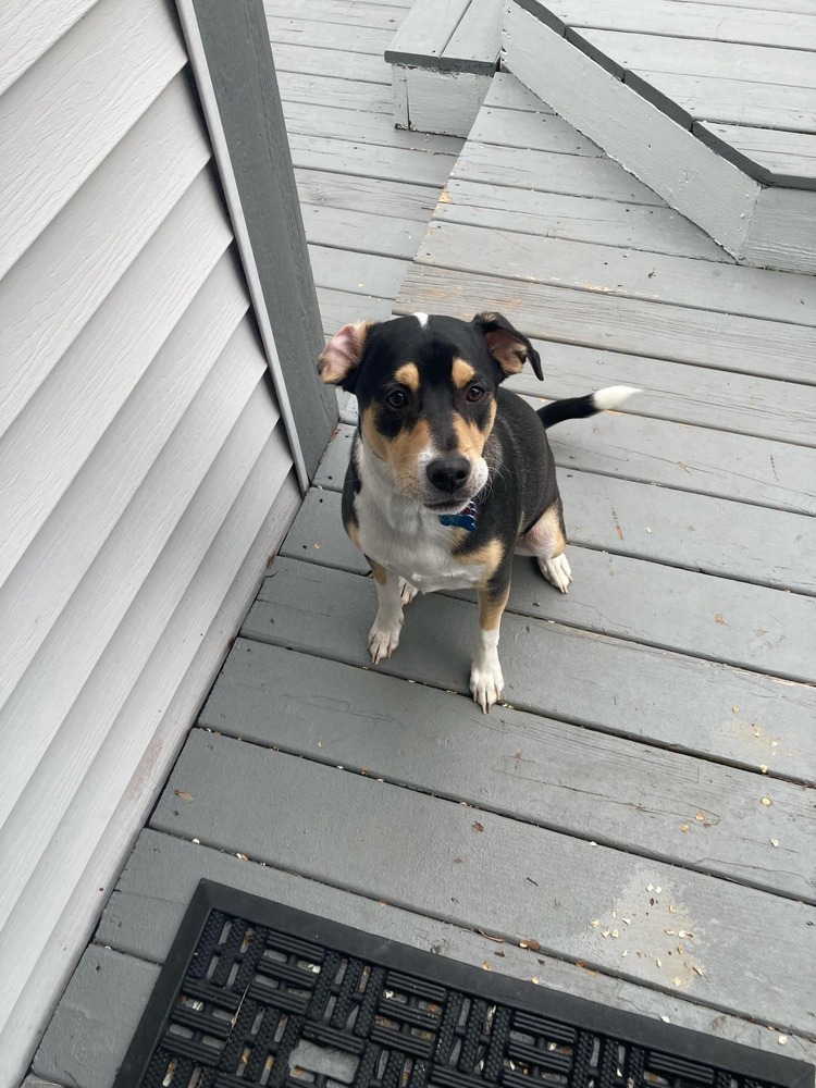 Jude (Song Name Litter)