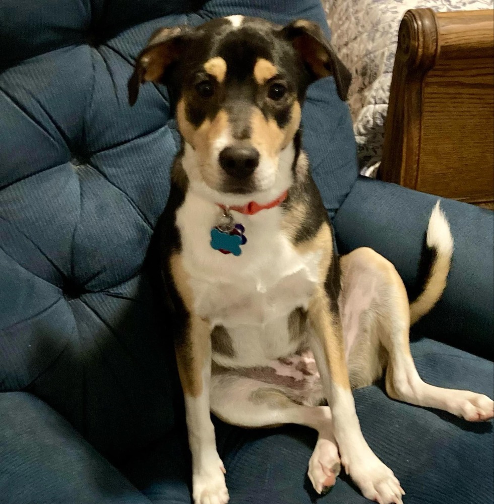 Jude (Song Name Litter)