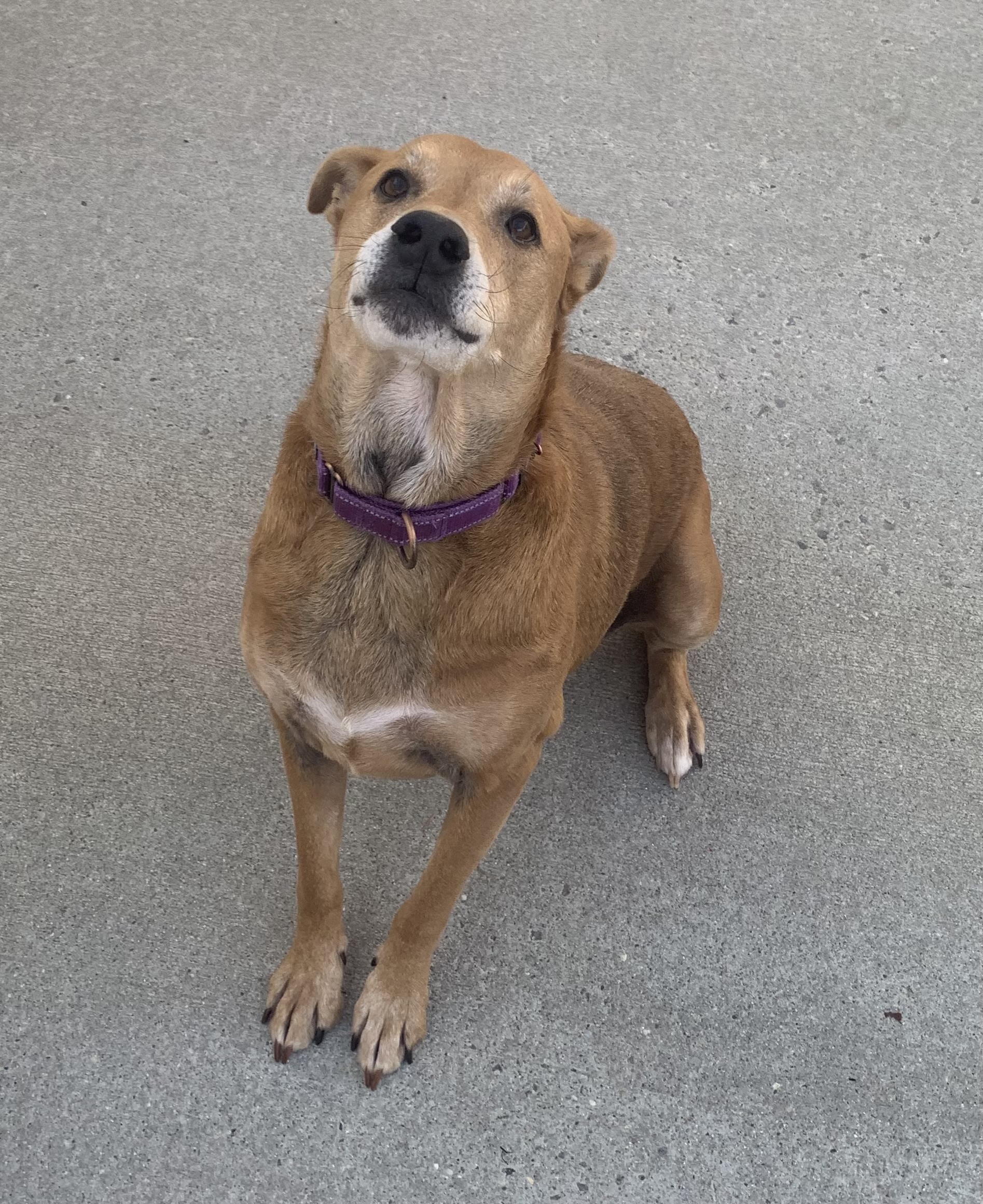 Loki - Please Read My Bio