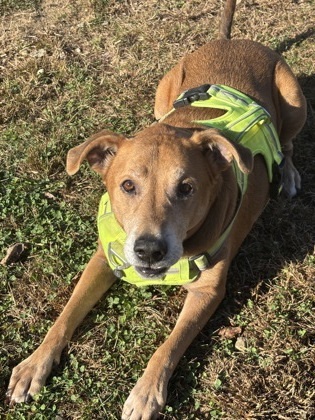 Loki - Please Read My Bio