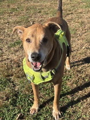 Loki - Please Read My Bio