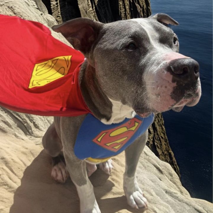 Clark 3