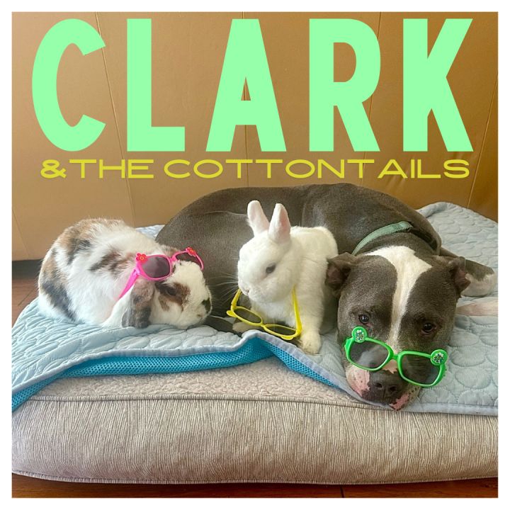 Clark 4