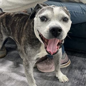 Recently Tiger Lily suffered a loss in the form of her person passing away For