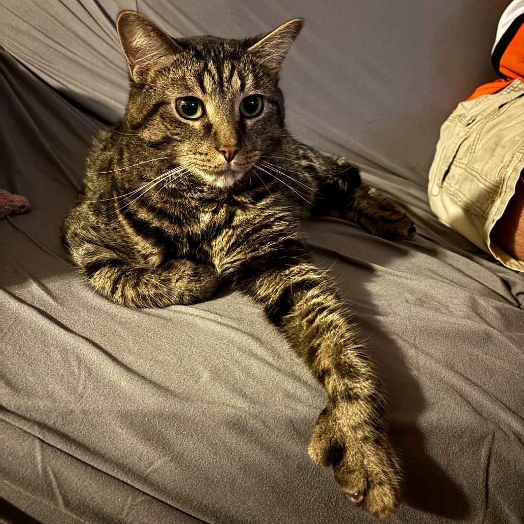 Frederick