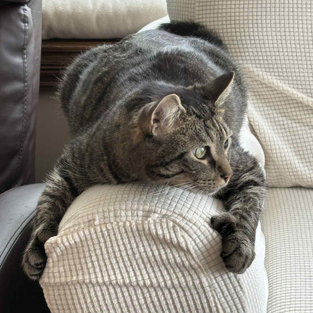 Frederick