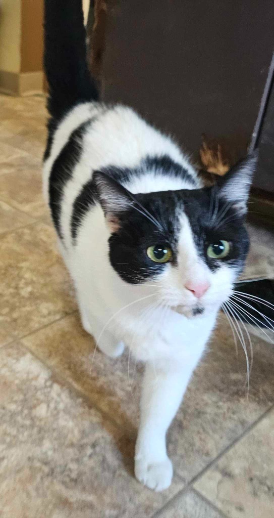 Tuna