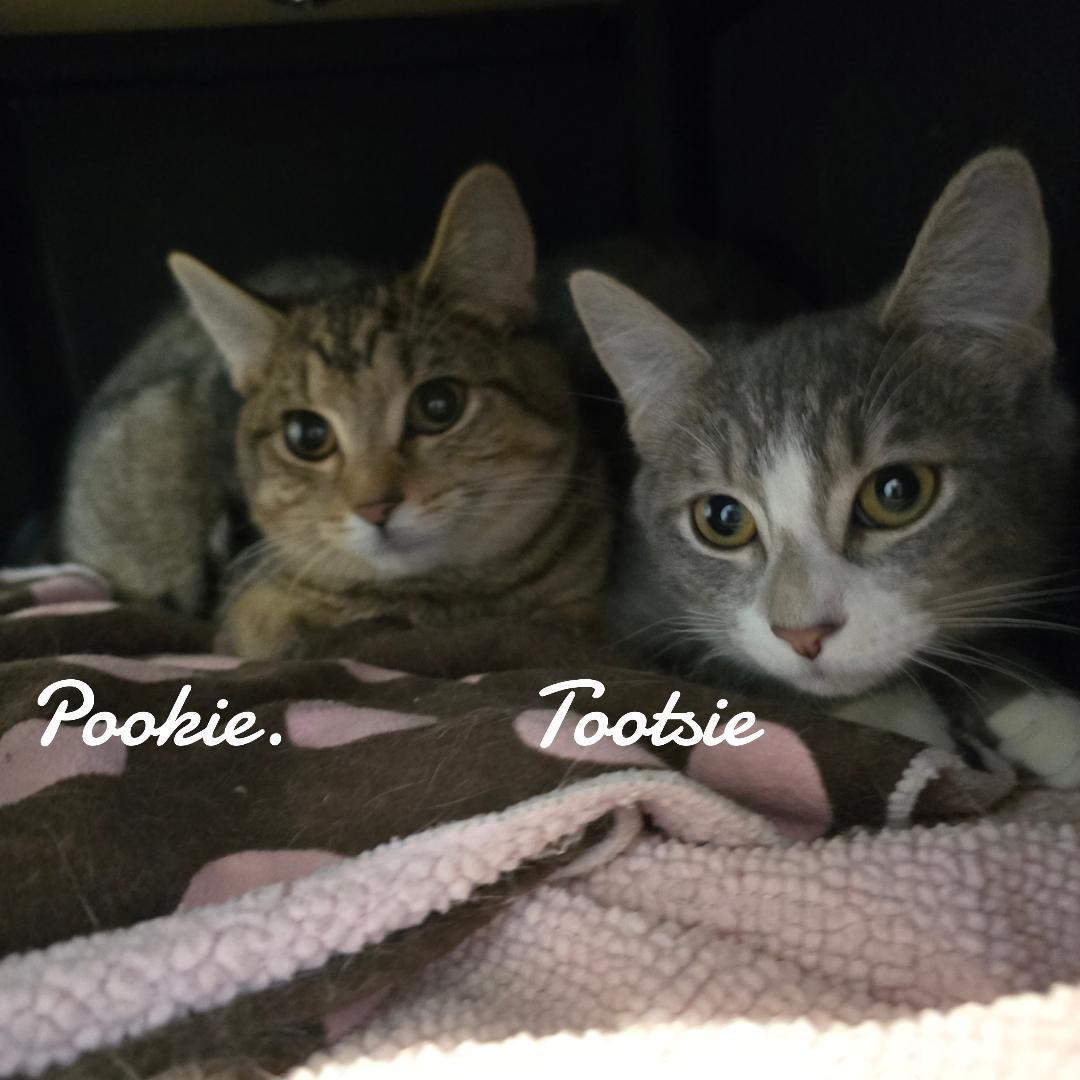 Pookie & Tootsie