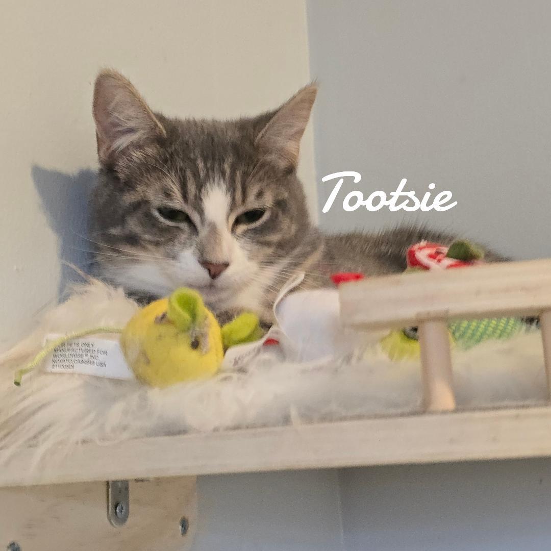Pookie & Tootsie