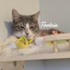 Pookie & Tootsie photo 3
