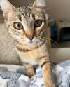Etta (& Fluff) photo 2